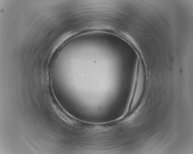 X0000060810787200511241934