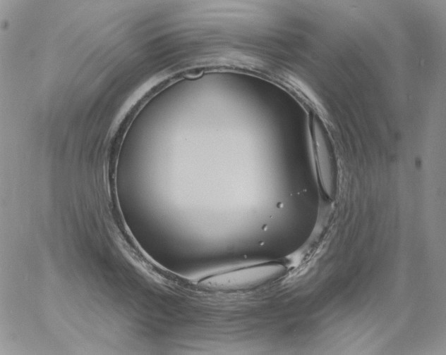 X0000060810788200511241934