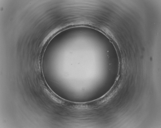 X0000060810789200511241934