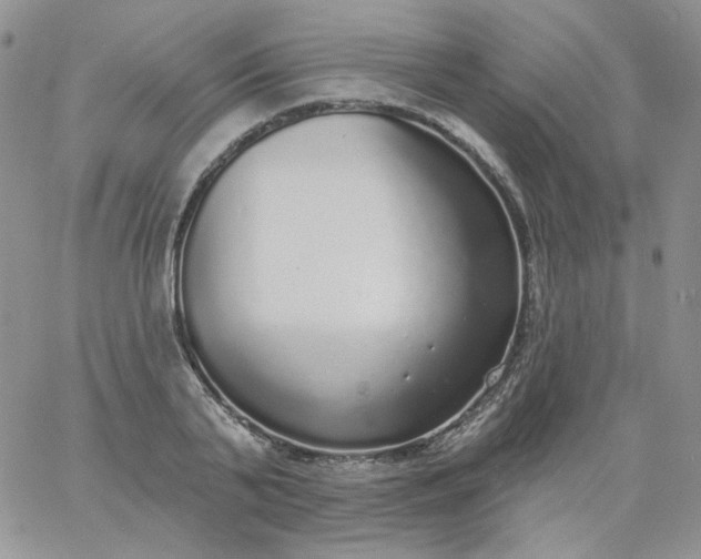 X0000060810791200511241934