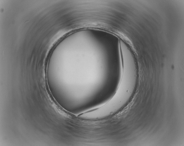 X0000060810792200511241934