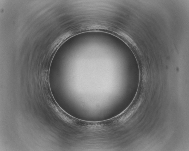 X0000060810793200511241934