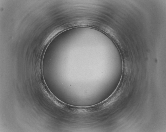 X0000060810794200511241934