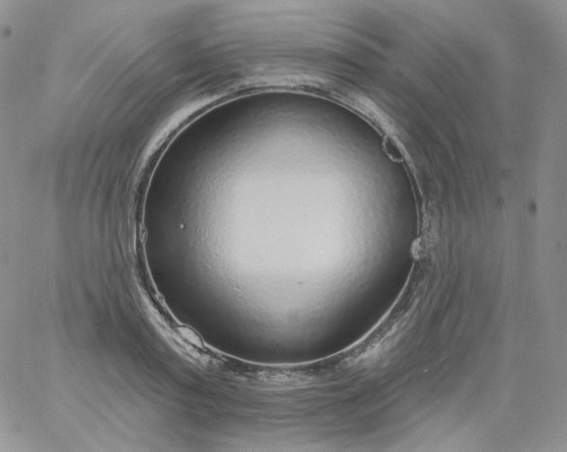 X0000060810795200511241934