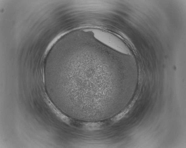 X0000060810796200511241934