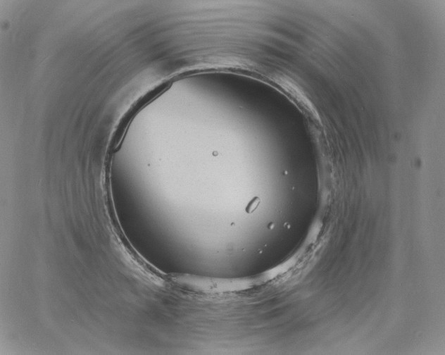 X0000060810797200511241934