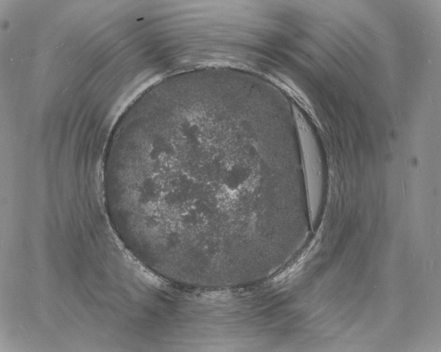 X0000060810798200511241934