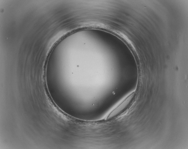 X0000060810799200511241934