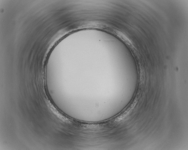 X0000060810800200511241934