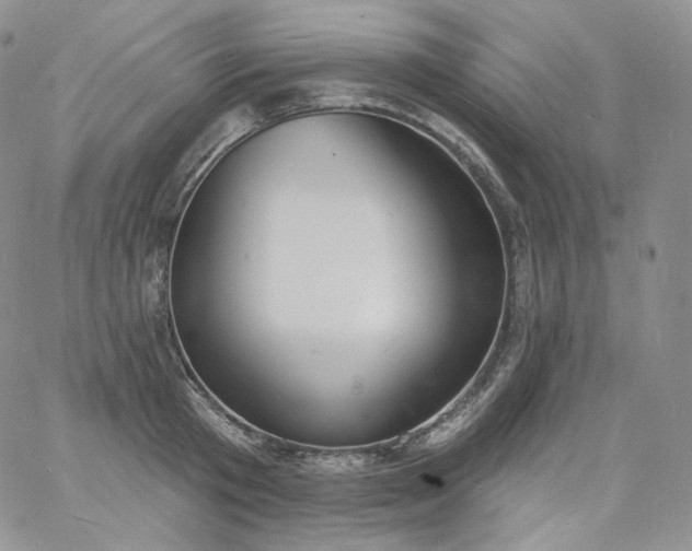 X0000060810801200511241934