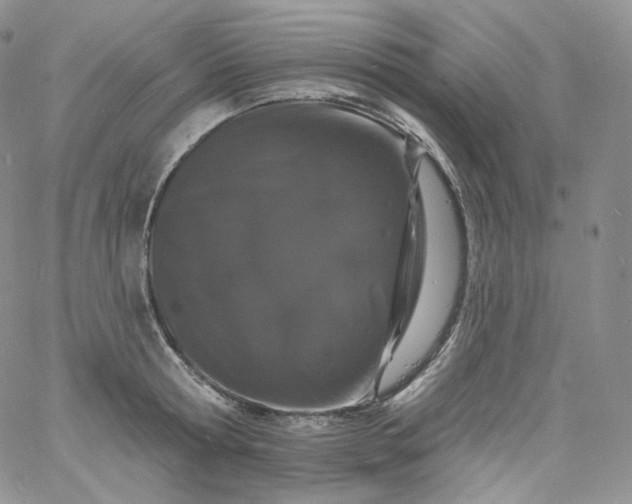 X0000060810802200511241934