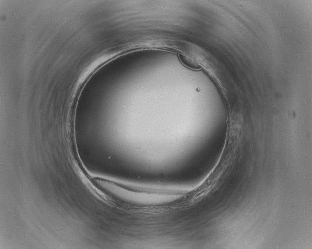 X0000060810803200511241934