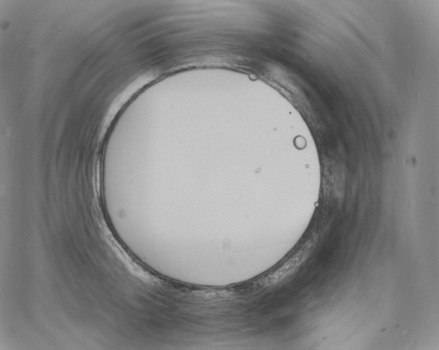 X0000060810804200511241934