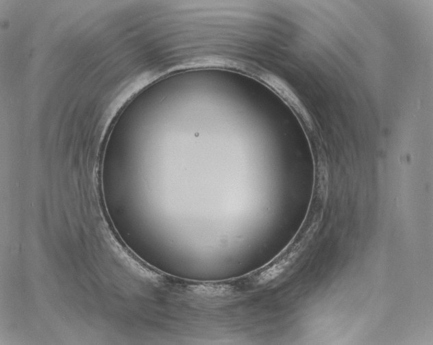 X0000060810805200511241934