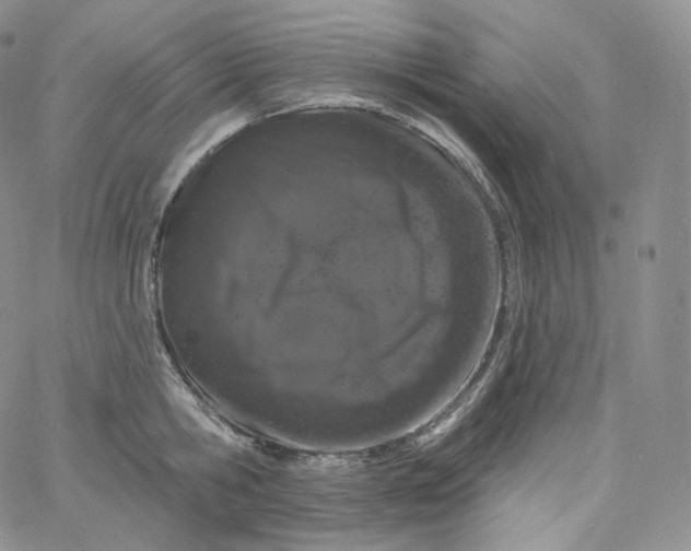 X0000060810806200511241934