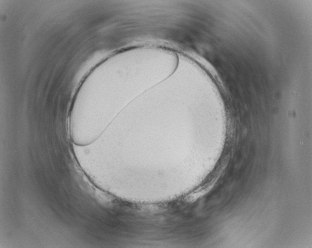 X0000060810807200511241934