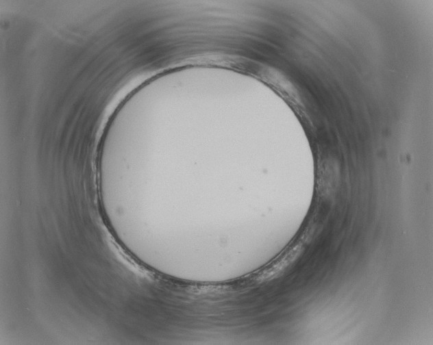 X0000060810808200511241934