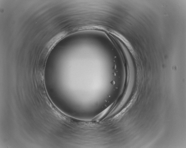 X0000060810809200511241934