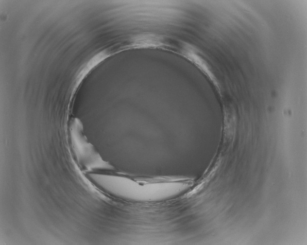 X0000060810810200511241934