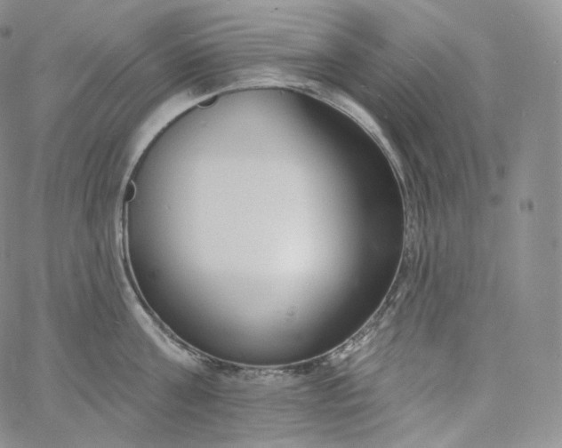 X0000060810811200511241934