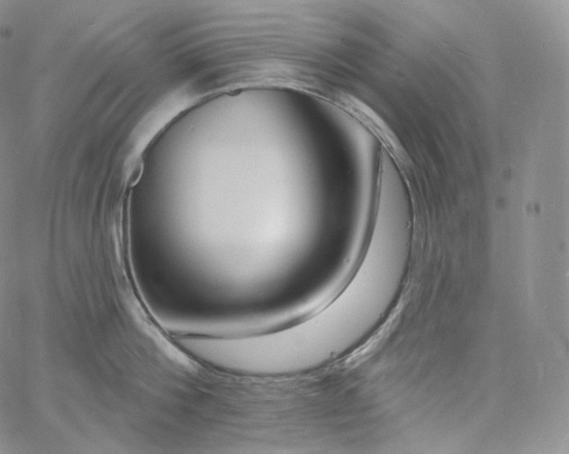 X0000060810812200511241934