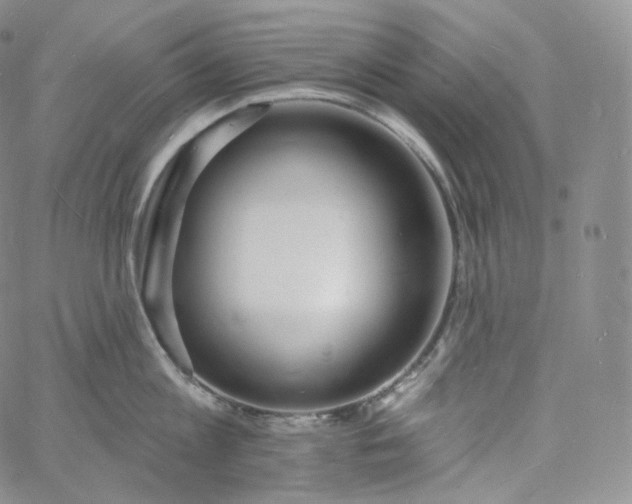 X0000060810813200511241934