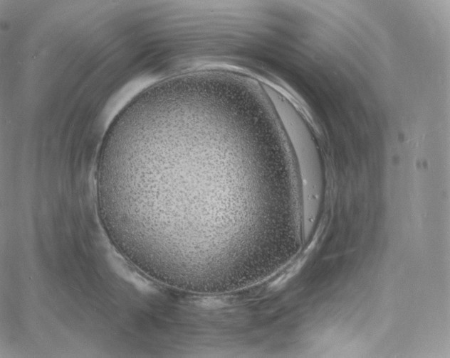 X0000060810814200511241934