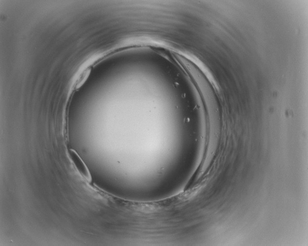 X0000060810815200511241934