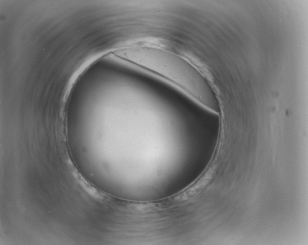 X0000060810816200511241934