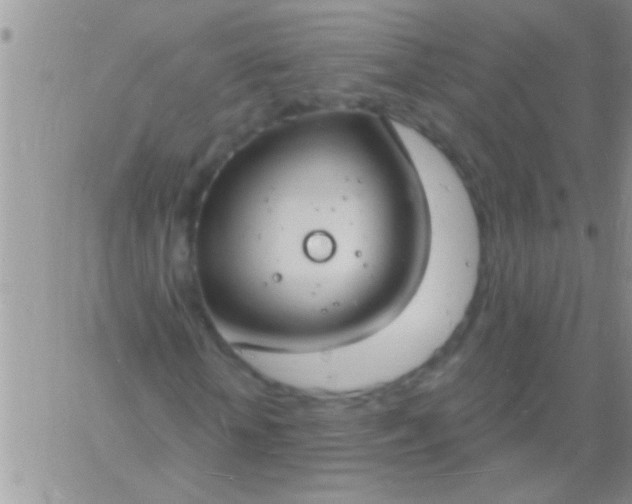 X0000060810818200511241933