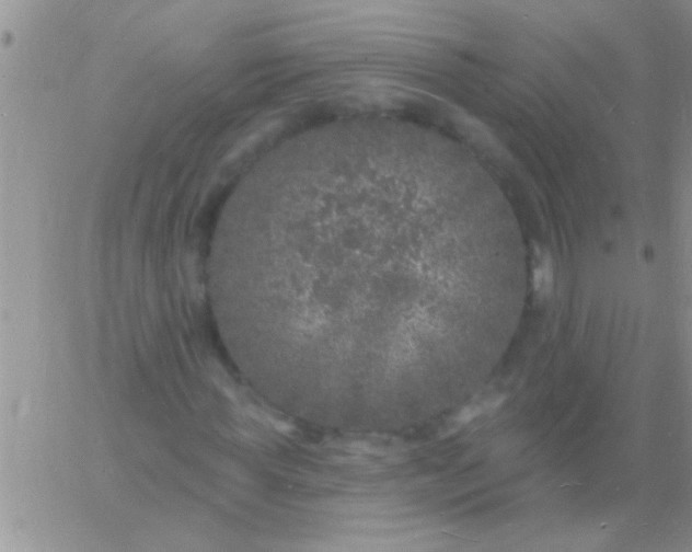 X0000060810819200511241933