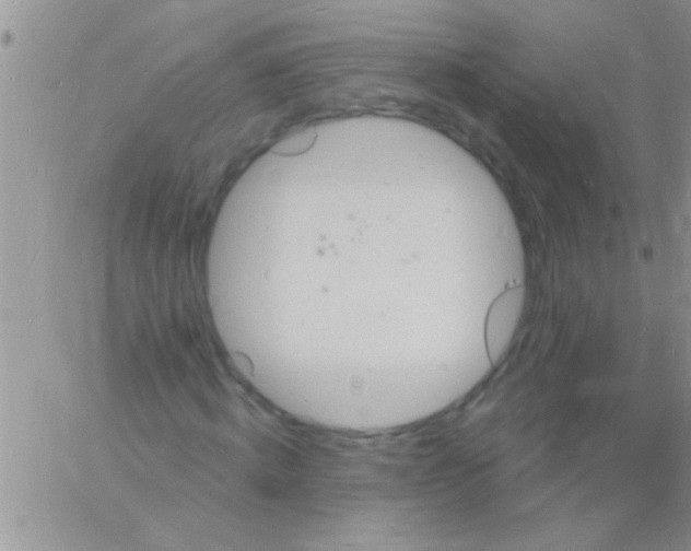 X0000060810820200511241933