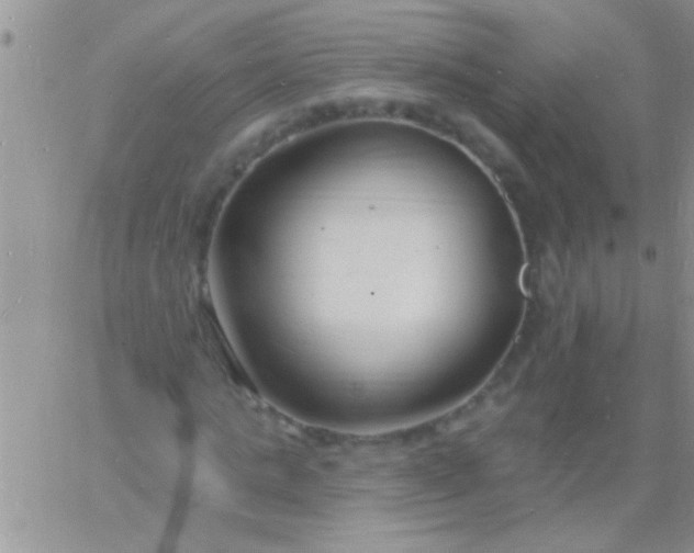 X0000060810821200511241933