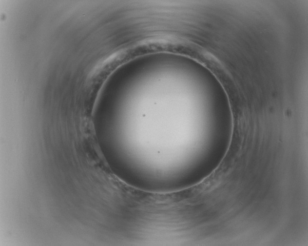 X0000060810822200511241933