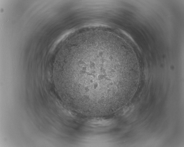 X0000060810823200511241933