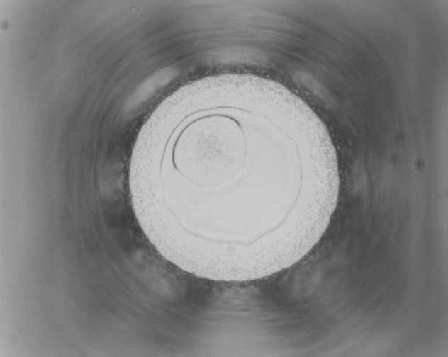 X0000060810824200511241933