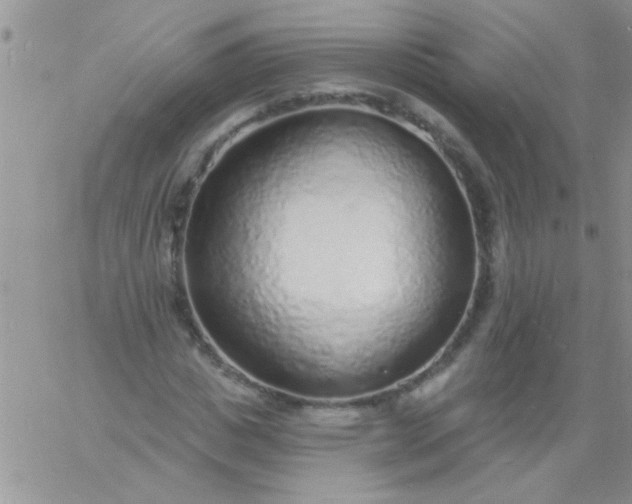 X0000060810825200511241933