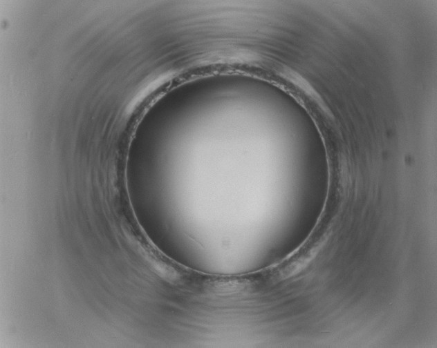 X0000060810826200511241933