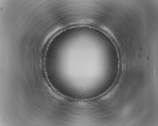 X0000060810827200511241933