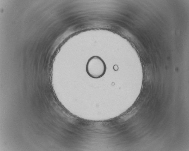 X0000060810828200511241933