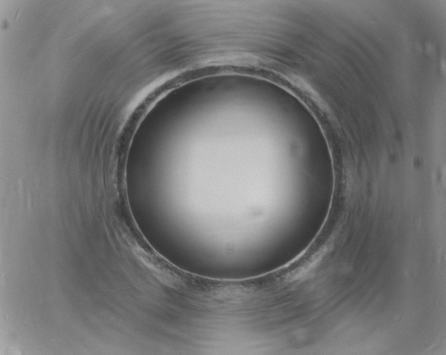 X0000060810830200511241933