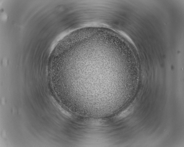 X0000060810831200511241933