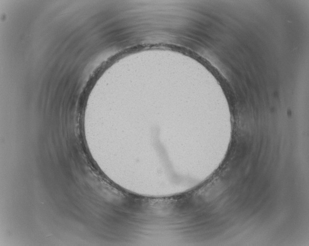 X0000060810832200511241933