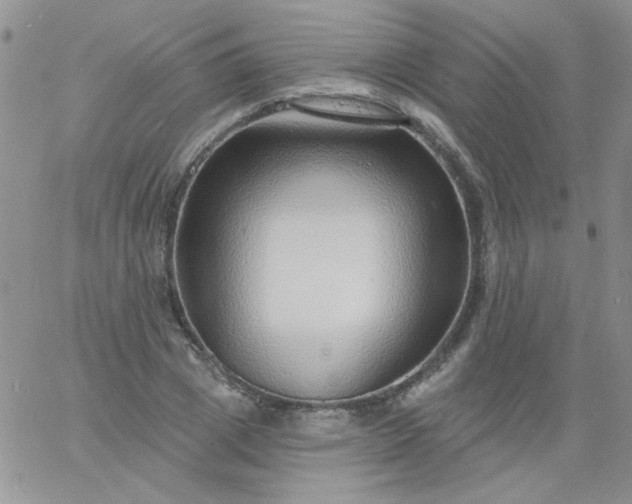 X0000060810833200511241933