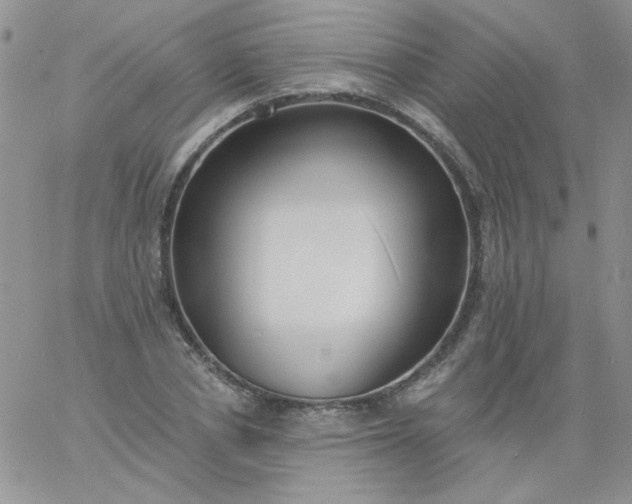 X0000060810834200511241933