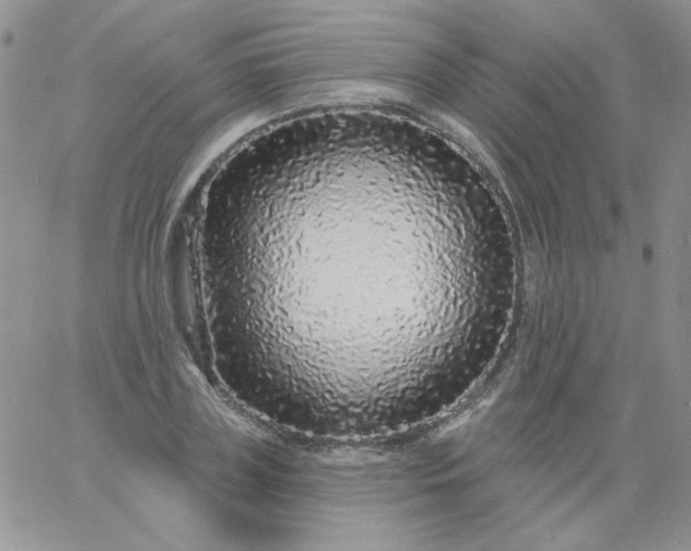 X0000060810835200511241933