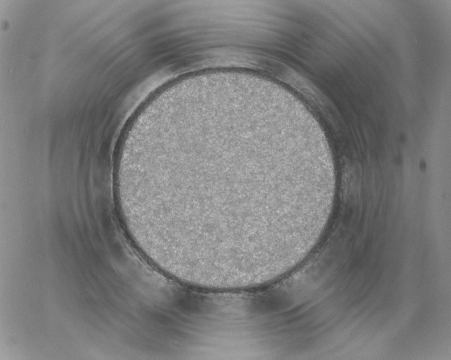 X0000060810836200511241933