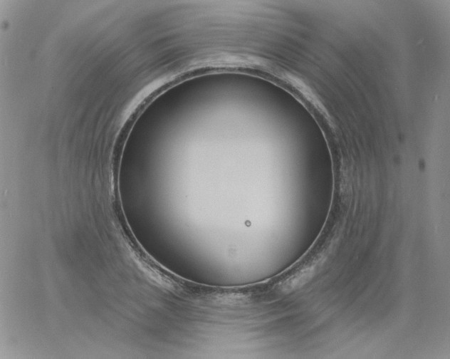 X0000060810837200511241933