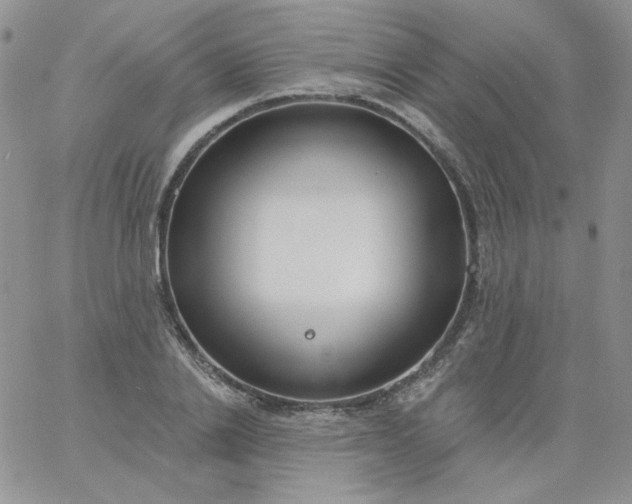 X0000060810838200511241933