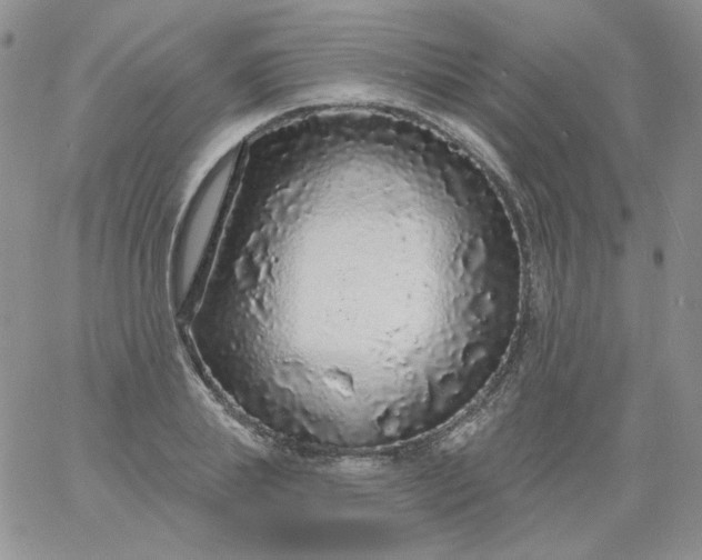 X0000060810839200511241933